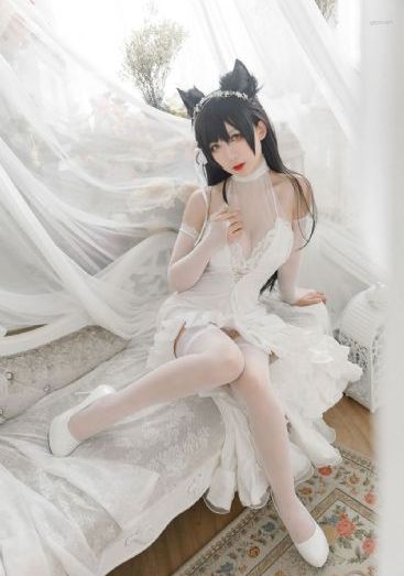 大宋少年志2免费观看电视剧全集